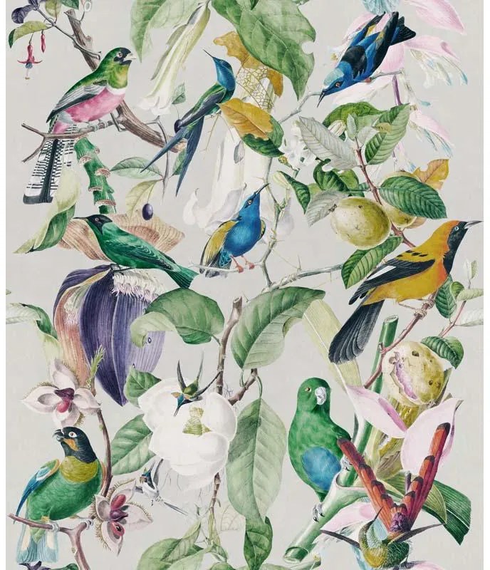 MINDTHEGAP Tropical Birds - tapeta