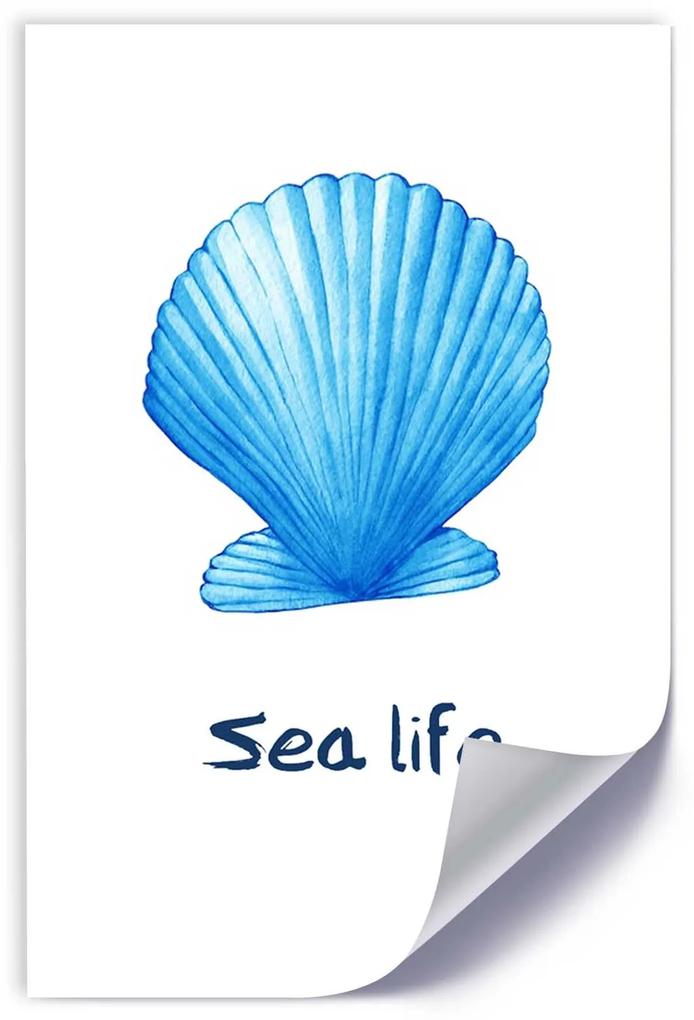 Gario Plagát Modrá mušľa s nápisom morský život Farba rámu: Bez rámu, Rozmery: 40 x 60 cm