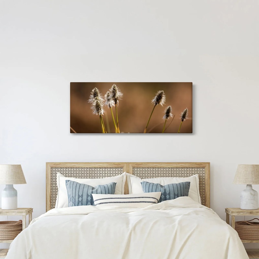 Obraz - Travina (120x50 cm)
