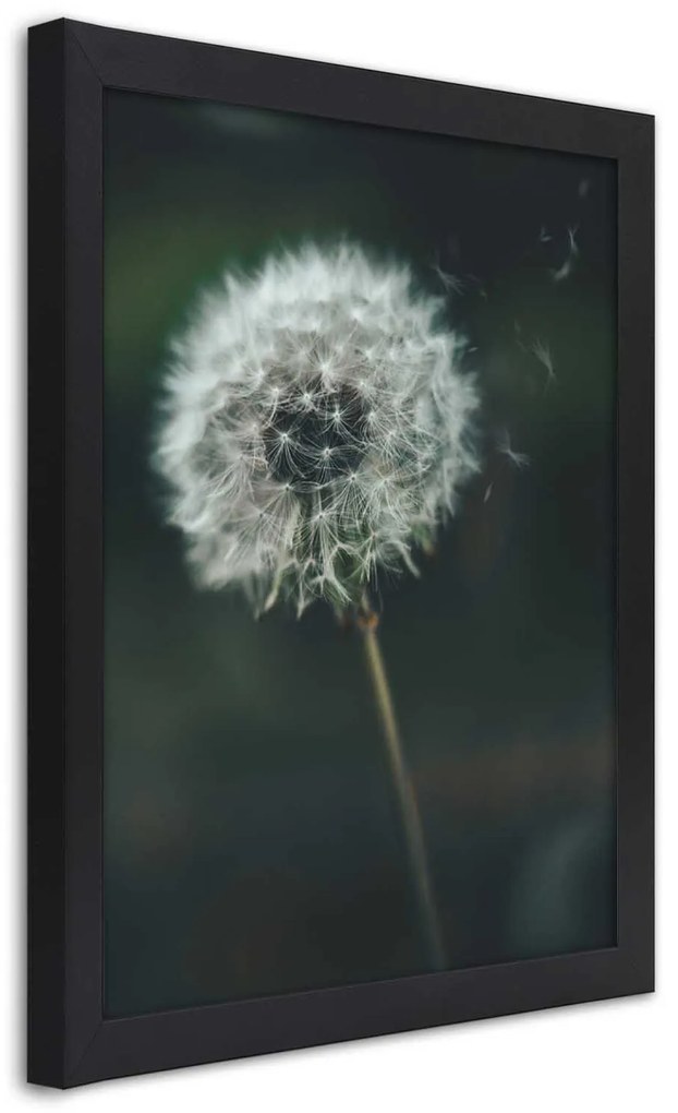 Gario Plagát Púpava vo vetre Farba rámu: Bez rámu, Rozmery: 70 x 100 cm