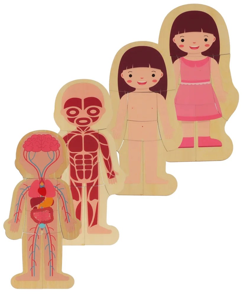 KIK Drevené vrstvené Montessori puzzle Ľudské telo – 28 dielikov, anatomické pre deti