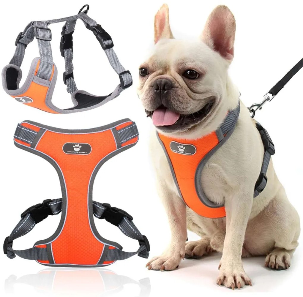 Postroj pre psov ASTRO S oranžový