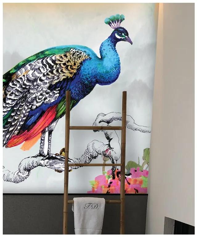 Fototapeta na stenu peacock