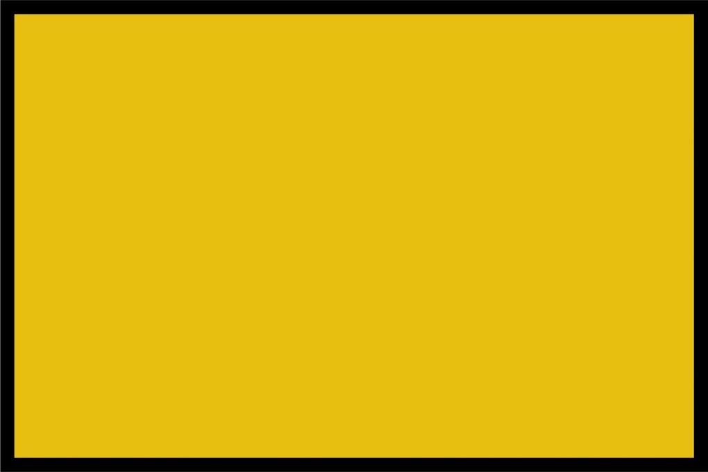 Navrhnuteľná rohožka Flat Prémium (Vyberte veľkosť: 100*70, Vyberte farbu: 039 Žltá)