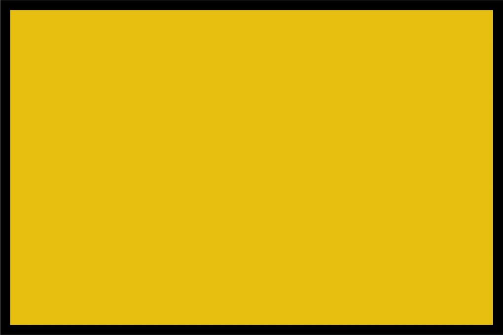 Navrhnuteľná rohožka Flat Prémium (Vyberte veľkosť: 85*55 cm, Vyberte farbu: 039 Žltá)