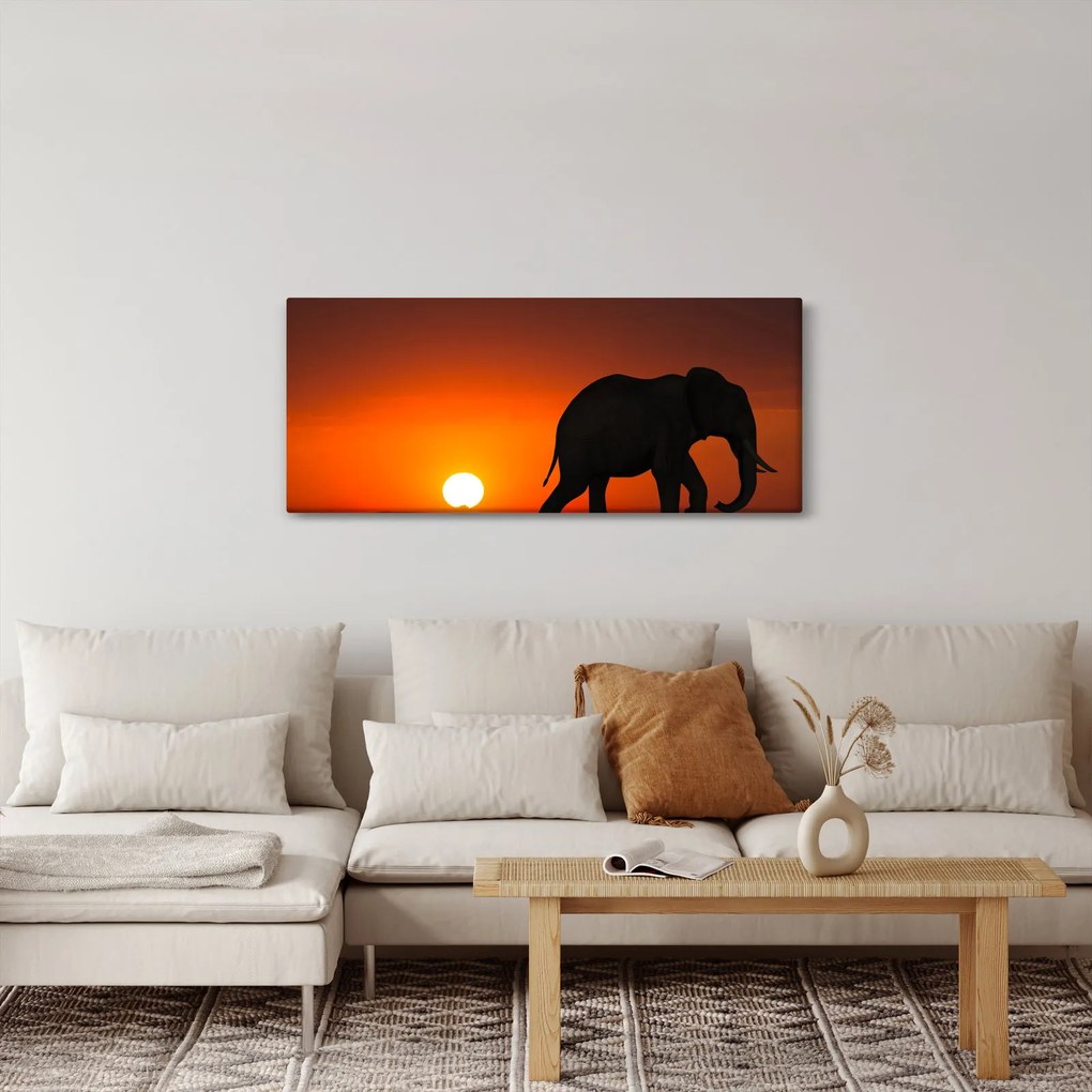 Obraz slona pri západe slnka (120x50 cm)