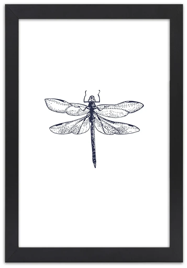 Gario Plagát Vážka nakreslená Farba rámu: Bez rámu, Rozmery: 20 x 30 cm