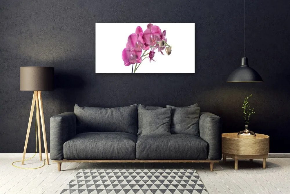 Skleneny obraz Orchidea kvety príroda 125x50 cm