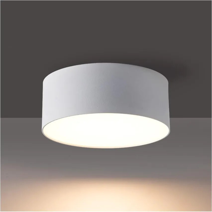 BRILAGI - LED vonkajšie stropné svietidlo FORIS LED/14W/230V pr. 12 cm biela IP44