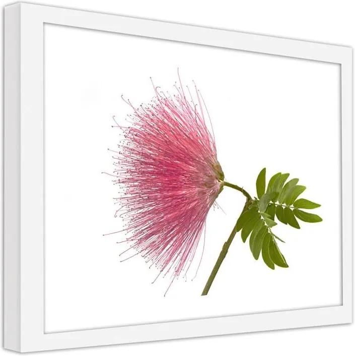 CARO Obraz v ráme - Pink Flower 2 Biela 40x30 cm