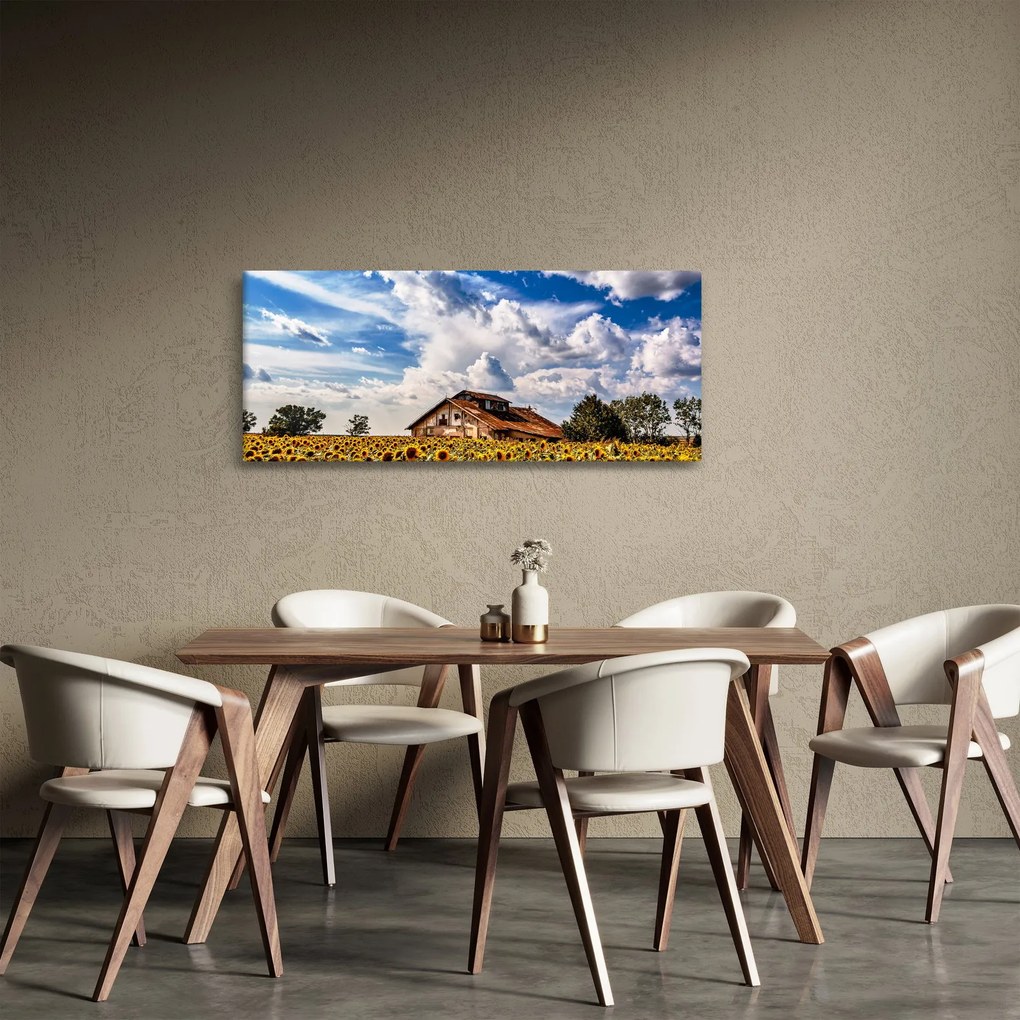 Obraz slnečnicového poľa (120x50 cm)