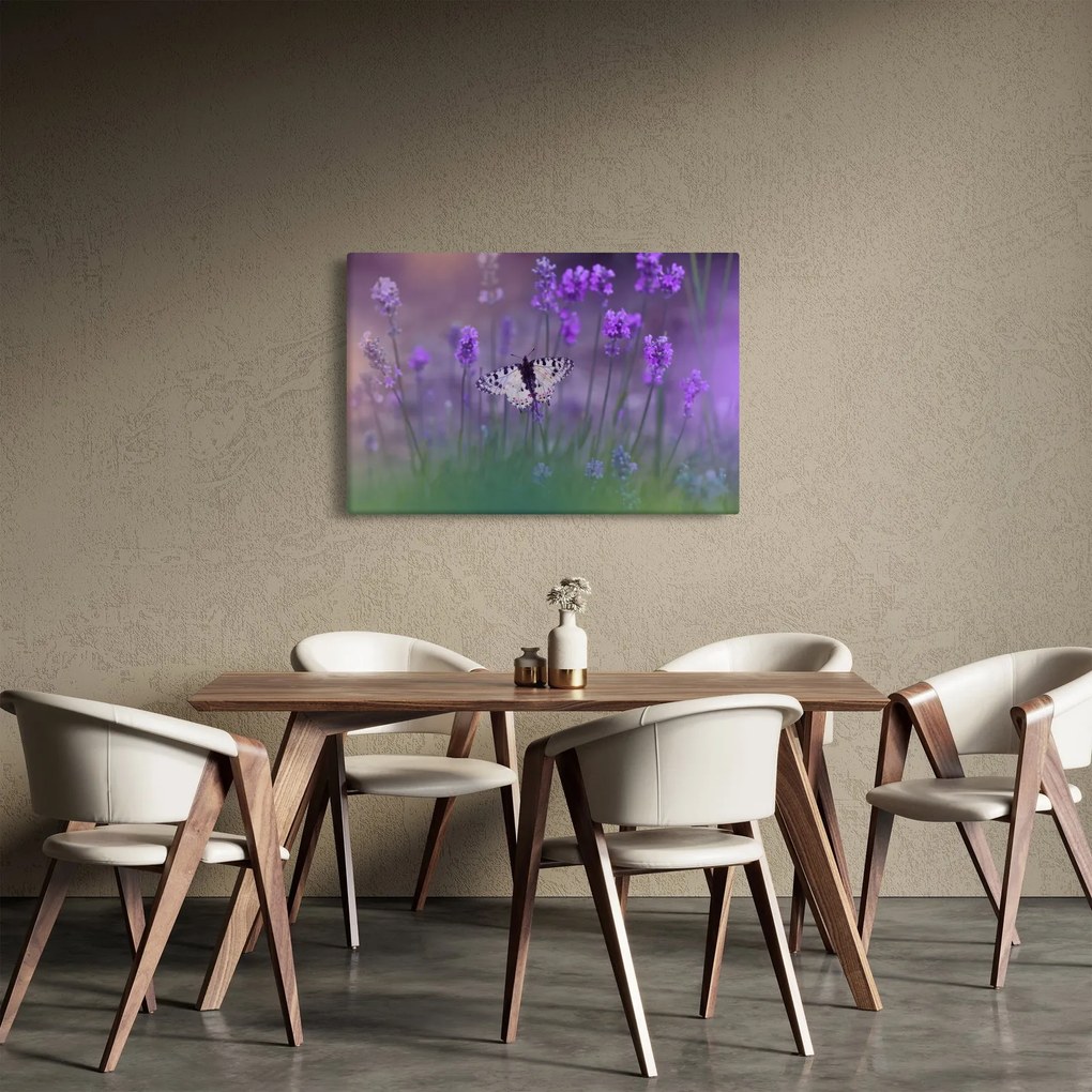 Obraz - Motýľ v levanduli (90x60 cm)