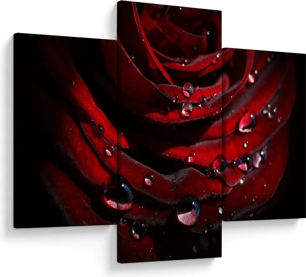 Obraz - Detail ruže (90x60 cm)