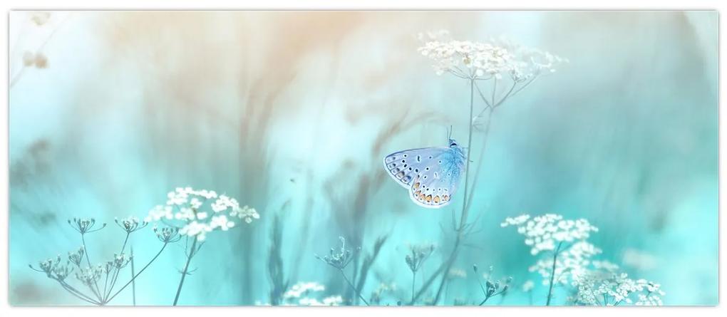 Obraz - Motýlik v modrom (120x50 cm)