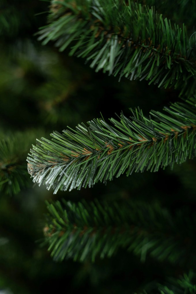 Vianočný stromček Konrad 240 cm