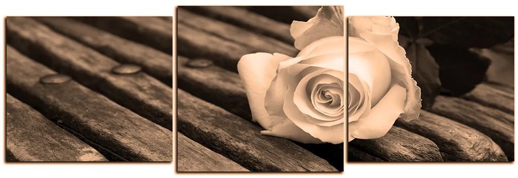 Obraz na plátne - Biela ruža na lavici - panoráma 5224FD (90x30 cm)