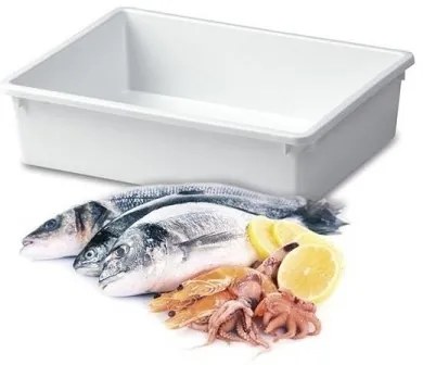 Organizér, úložný box do hlbokých skríň a špajzí, TRAY - 50 x 34 x 12 cm, biela