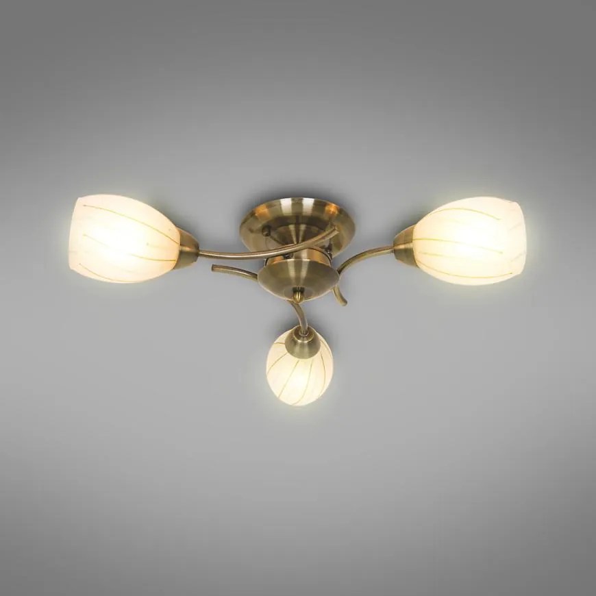 Luster  CL16173-3 PL3