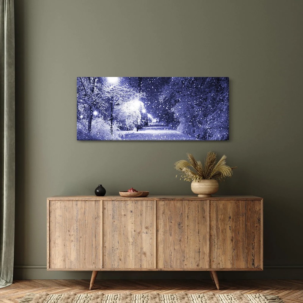 Obraz - Čarovná zimná noc (120x50 cm)
