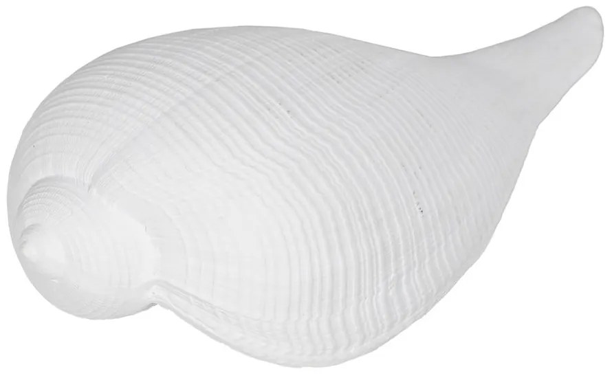 Soška z polyresínu (výška 5 cm) Seashell – Ixia