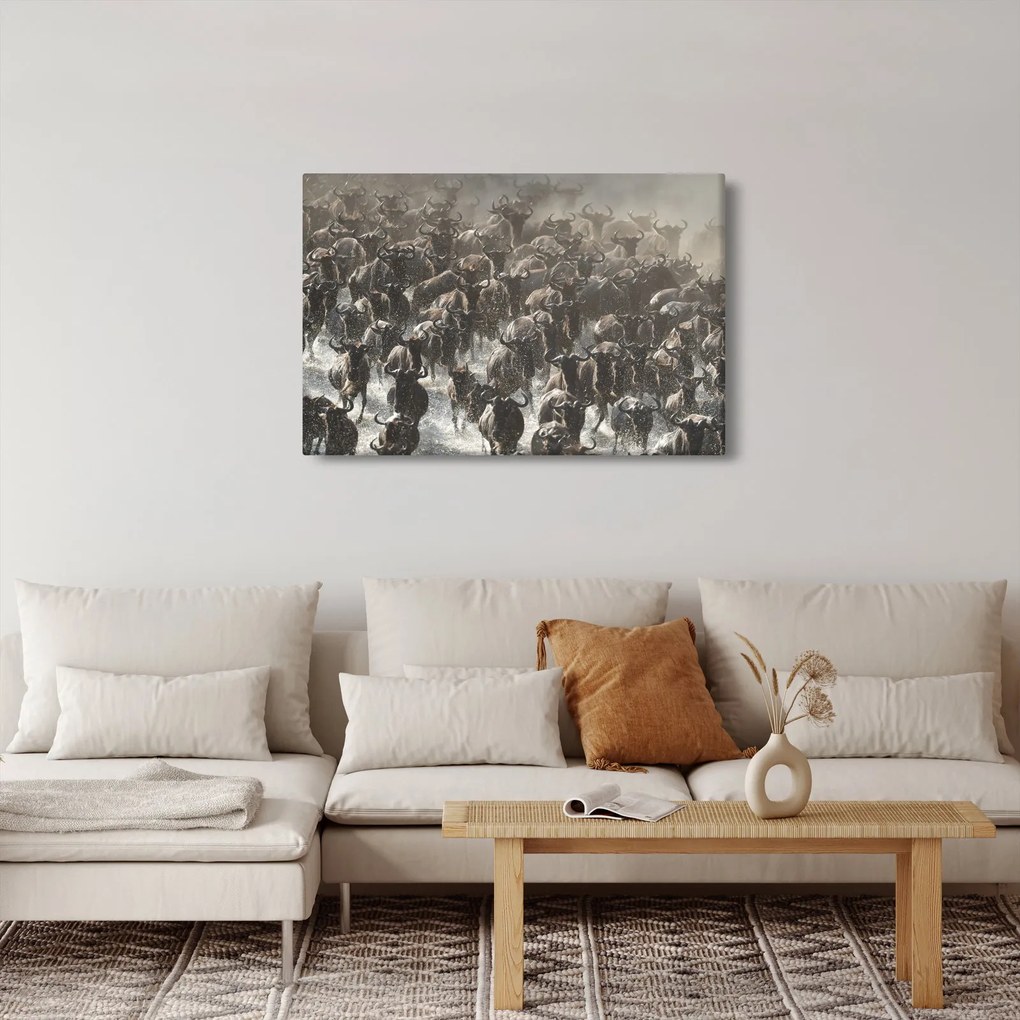 Obraz - Stádo pakoňov (90x60 cm)