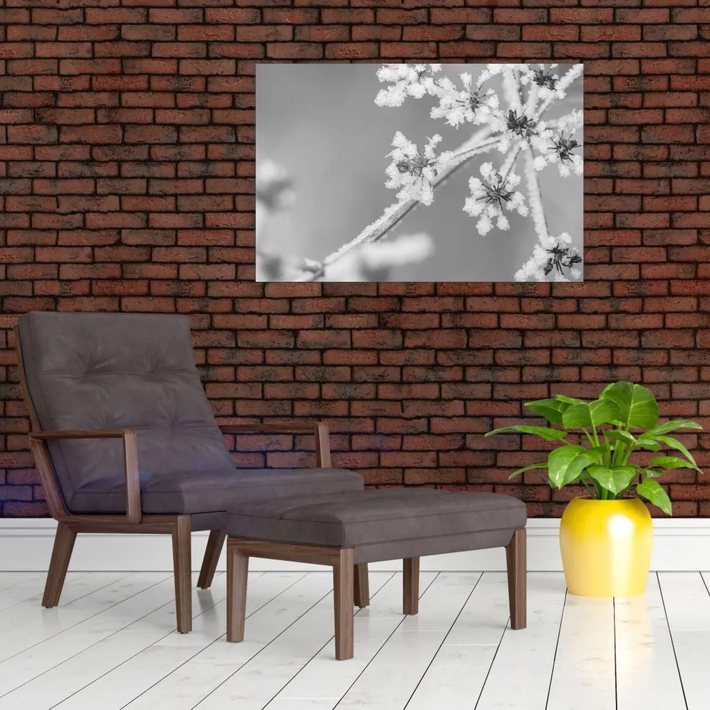 Obraz - Zamrznutá rastlina (90x60 cm)