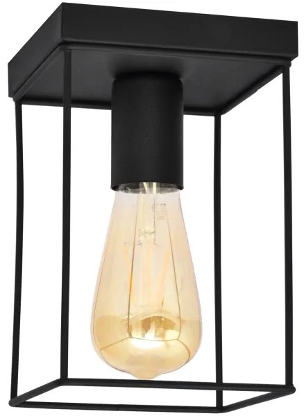 Stropné svietidlo FINN 1xE27/15W/230V čierna