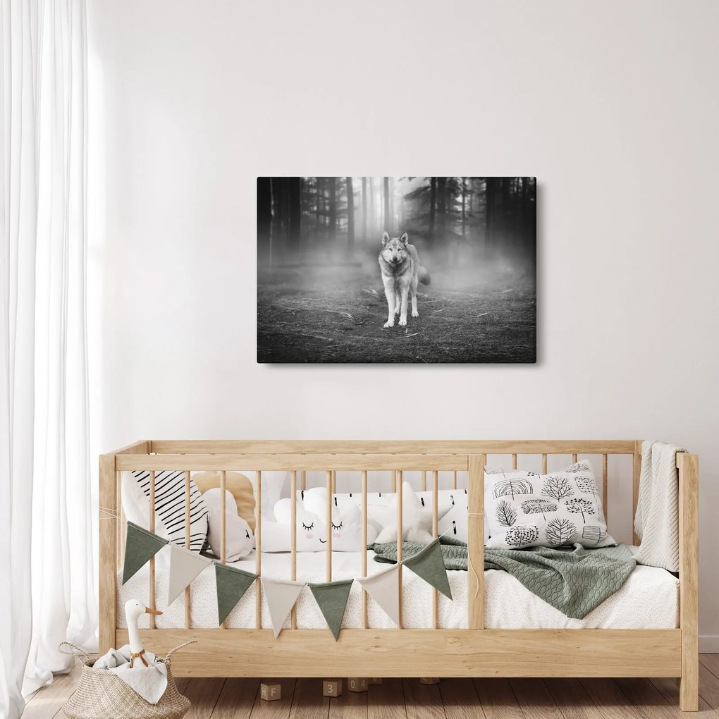 Obraz - Strážca lesa, čiernobiely (90x60 cm)