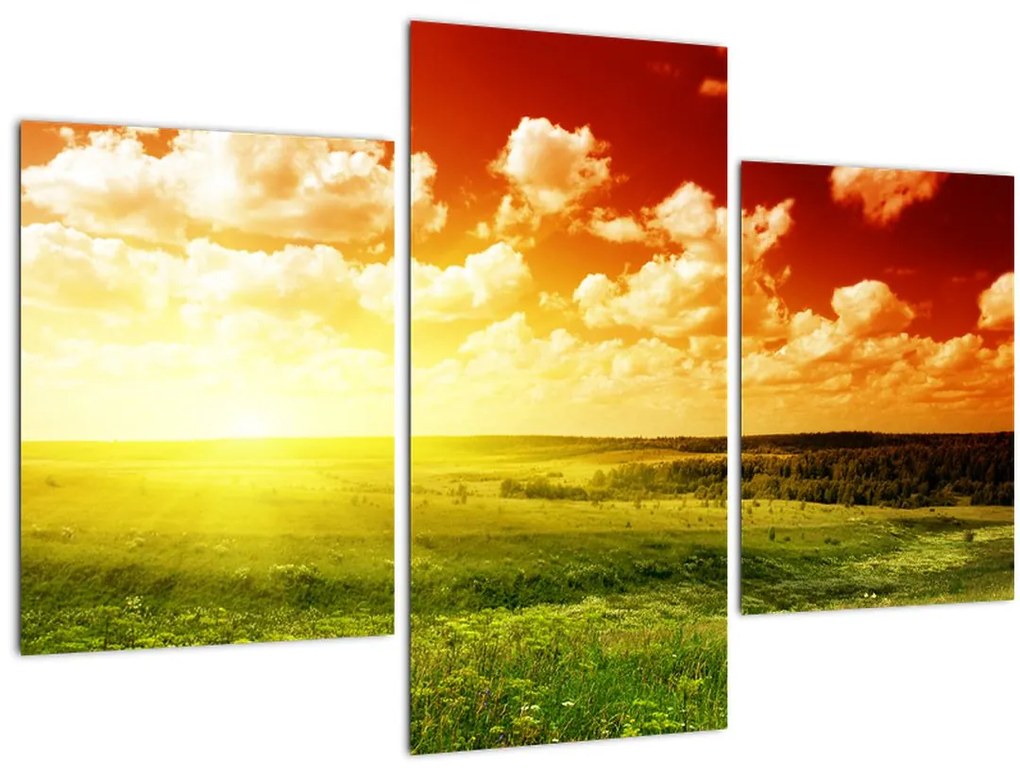 Obraz letnej lúky (90x60 cm)