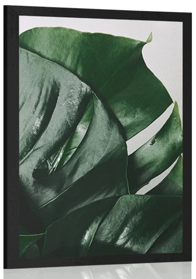 Plagát listy monstery - 40x60 silver