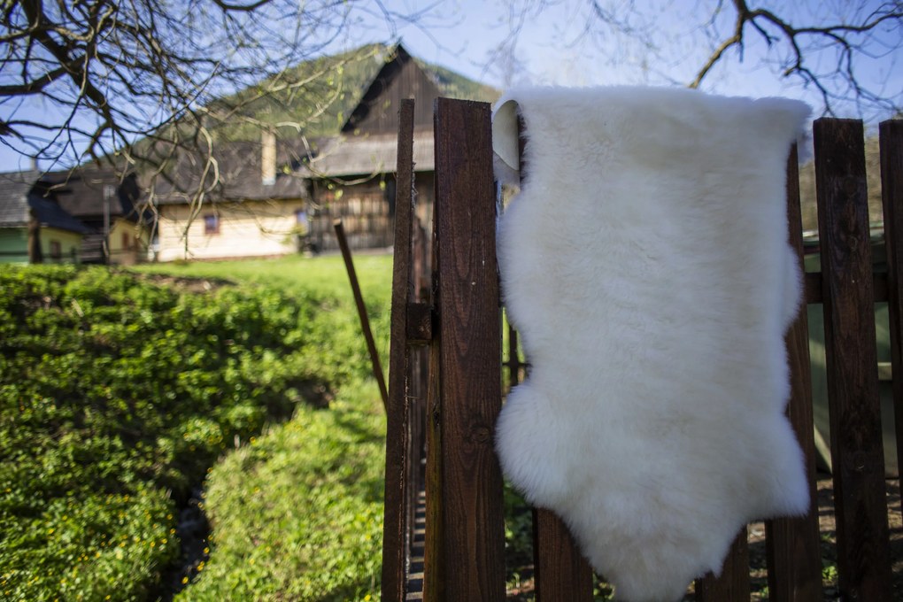 Ovčia kožušina biela strihaná