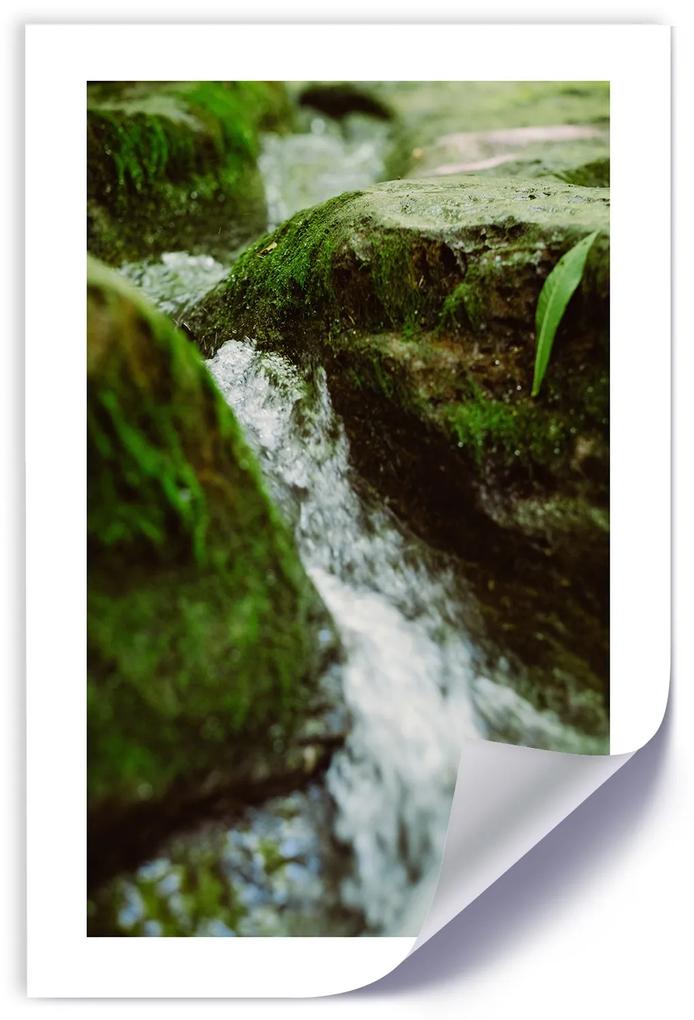 Gario Plagát Divoká rieka Farba rámu: Bez rámu, Rozmery: 40 x 60 cm