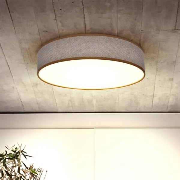 BRILAGI - LED Stmievateľné stropné svietidlo CARMEN LED/48W/230V 3000-6500K + DO