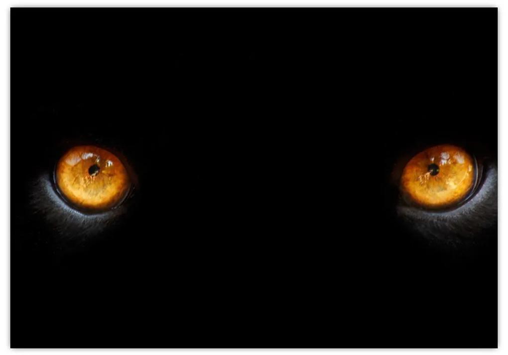 Zvieracie oči - obraz