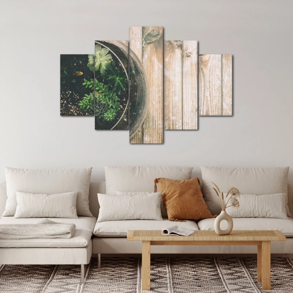 Obraz sukulentov v skle (150x105 cm)