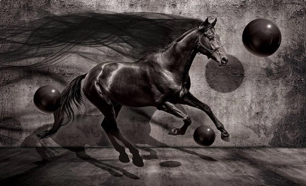 Fototapeta - Čierny kôň (254x184 cm)