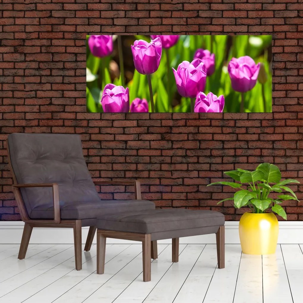 Obraz tulipánov na lúke (120x50 cm)