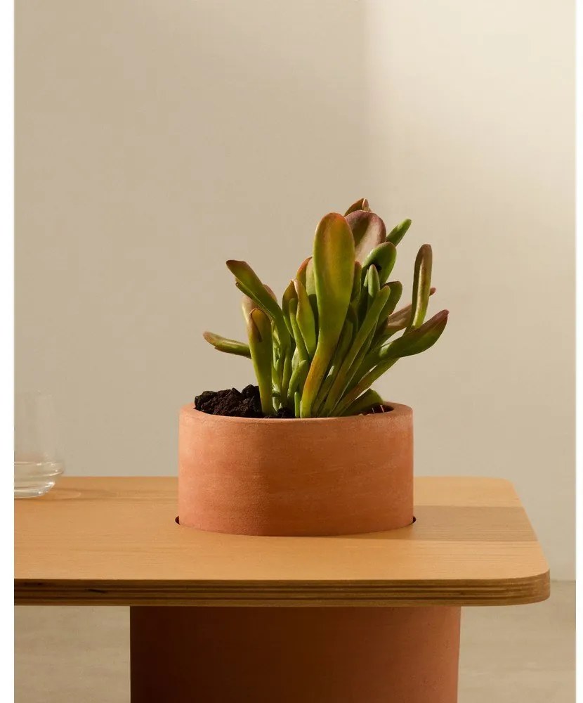 Okrúhly konferenčný stolík v dekore jaseňa v prírodnej farbe 60x110 cm Olaria – Kave Home