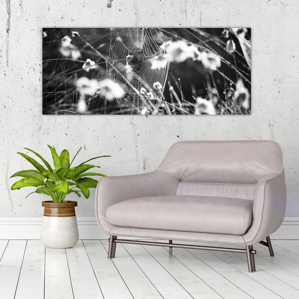 Obraz - Pavučina na lúke (120x50 cm)