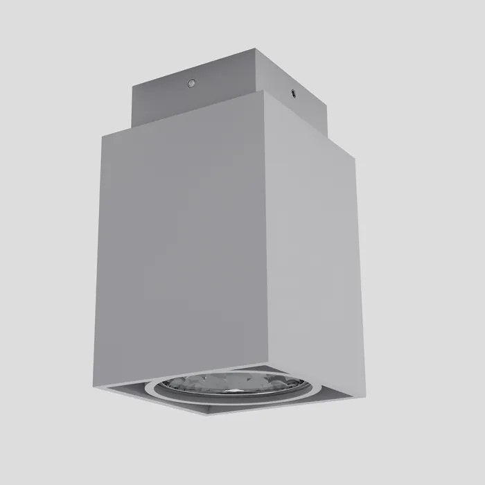 RENDL R10164 EX prisadené svietidlo, downlight striebornosivá