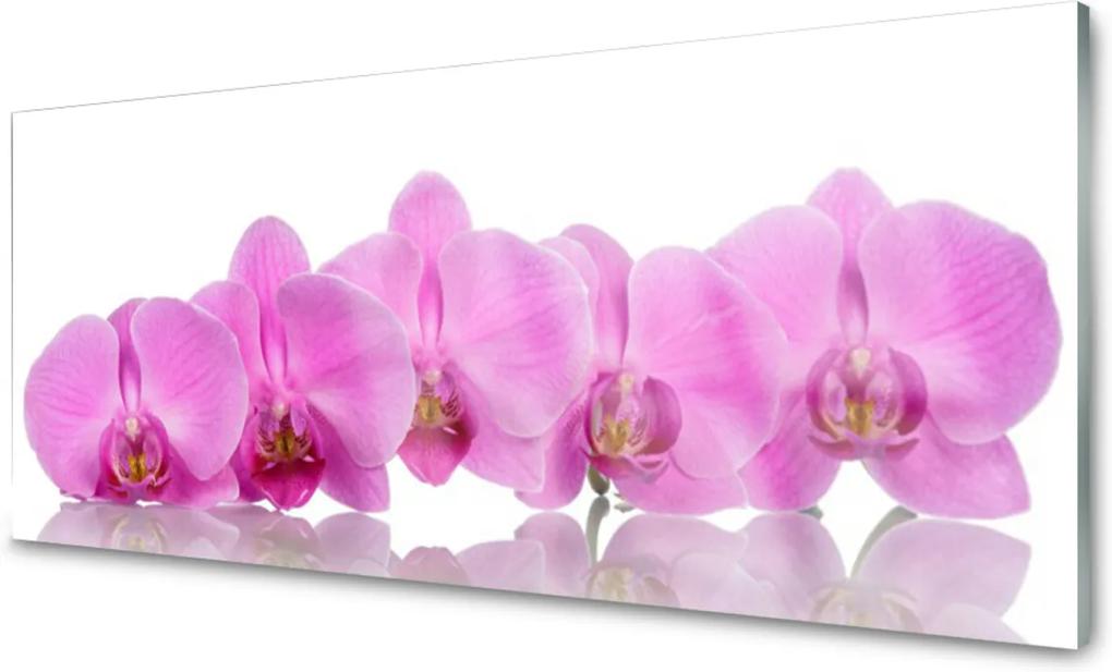 Sklenený obklad Do kuchyne Ružová Orchidea Kvety