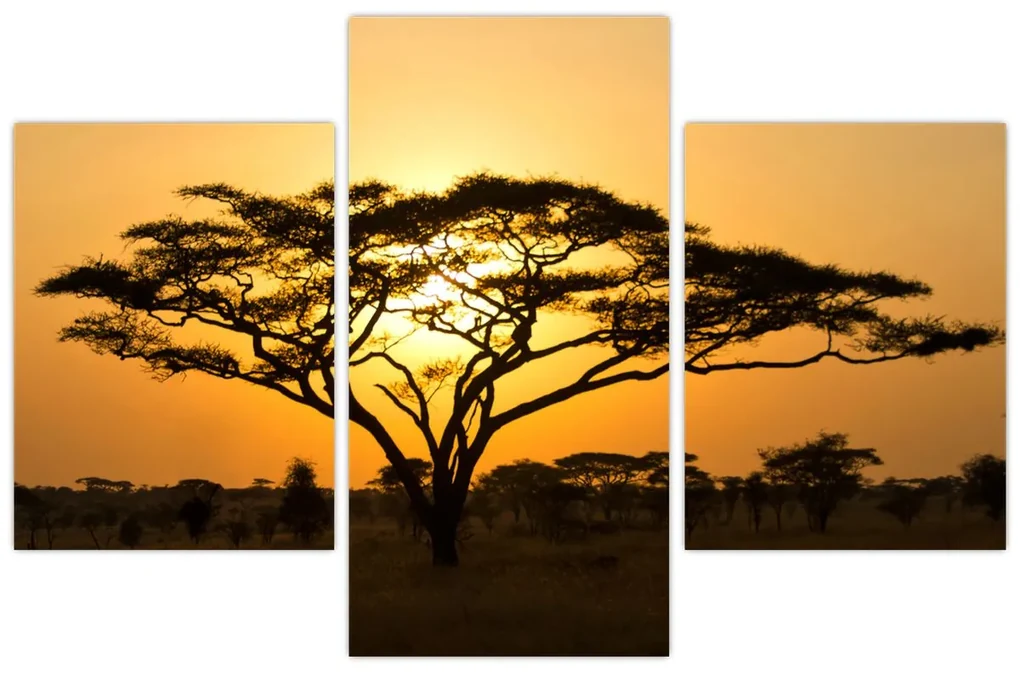 Obraz - Africká savana (90x60 cm)
