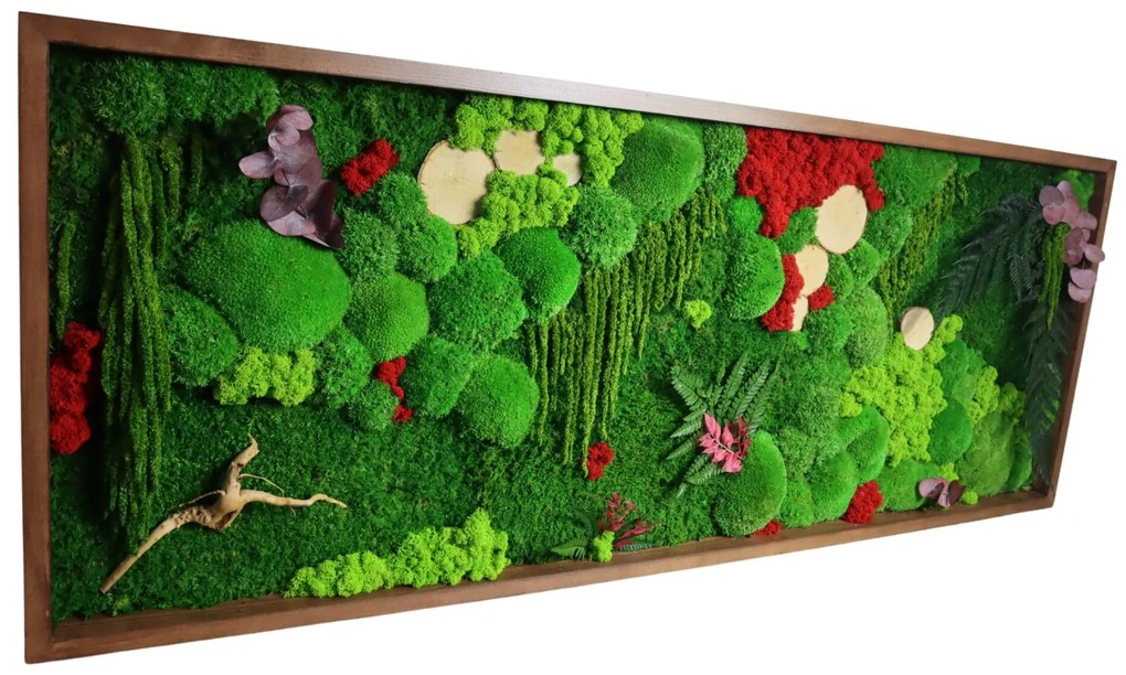 Machový obraz kombinovaný s rastlinami Rozmer obrazu: 60 x 40 cm
