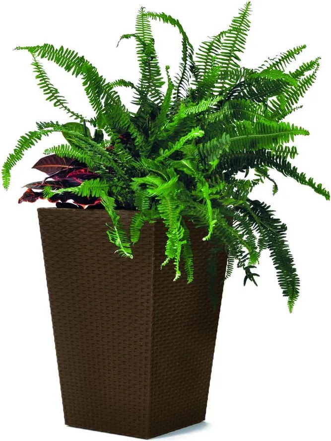 Plastový obal na kvetináč Rattan – Keter