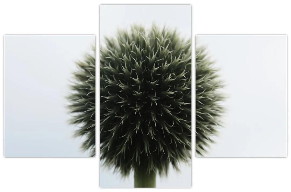 Obraz kvetinové gule (90x60 cm)
