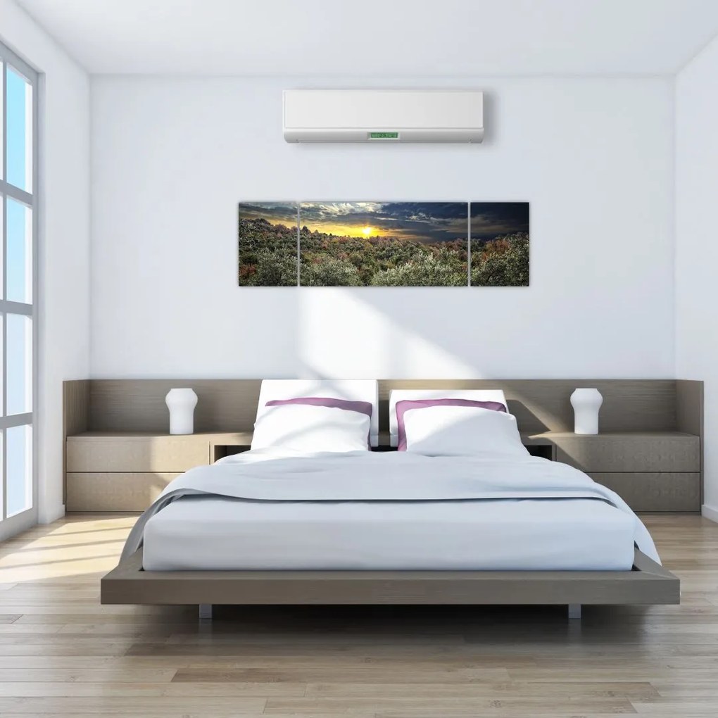 Obraz - zelený sád