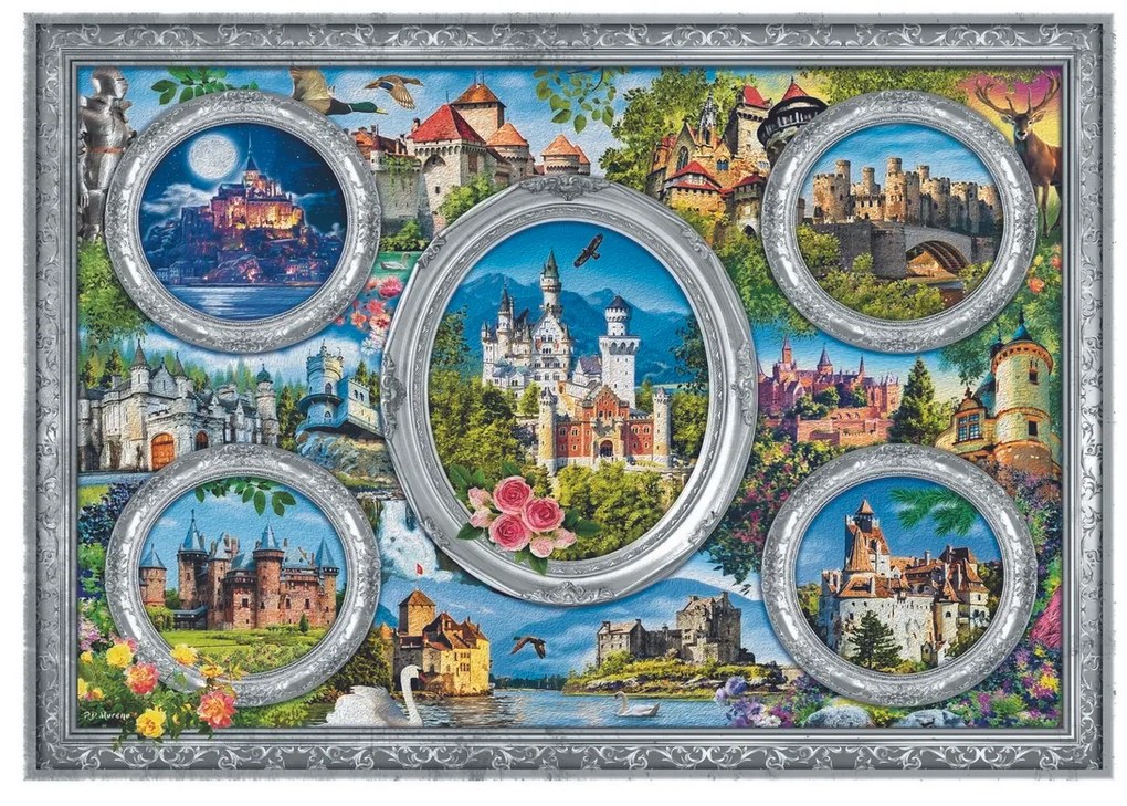 TREFL - puzzle 1000 Svetové zámky