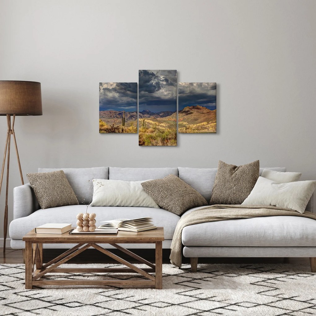Obraz - kaktusy v prírode (90x60 cm)