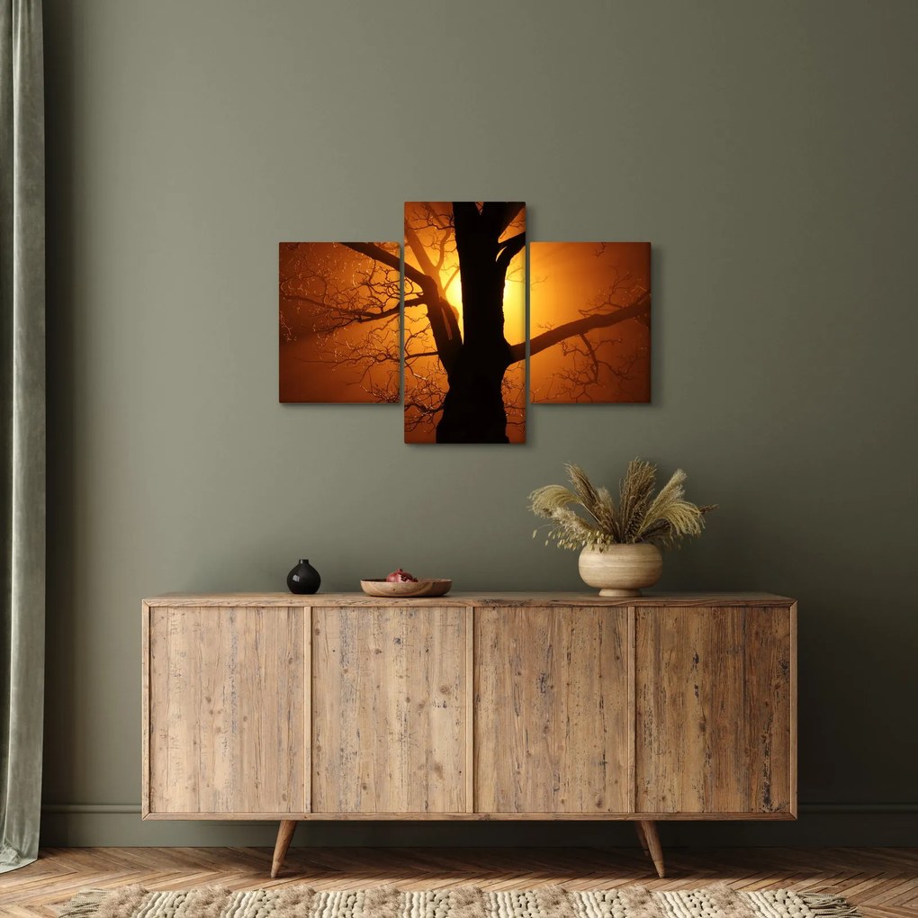Obraz stromu pri západe slnka (90x60 cm)