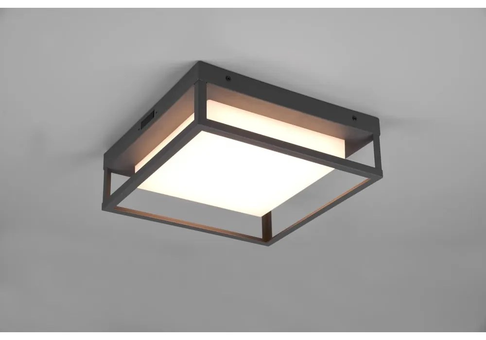 LED nástenné vonkajšie svietidlo (výška 10 cm) Witham - Trio